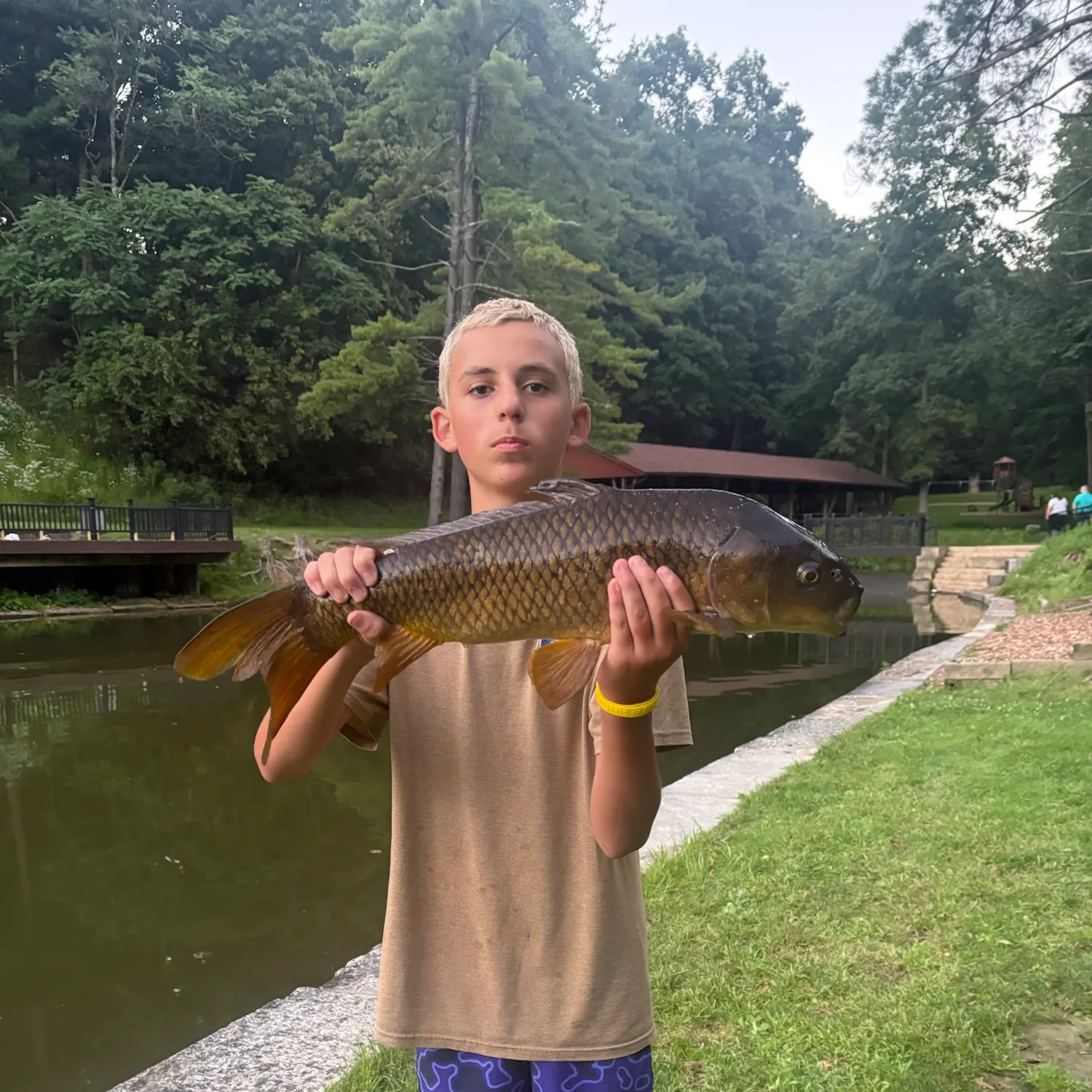 Common carp caught on Fishbrain