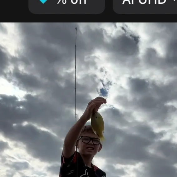 Bluegill caught on Fishbrain
