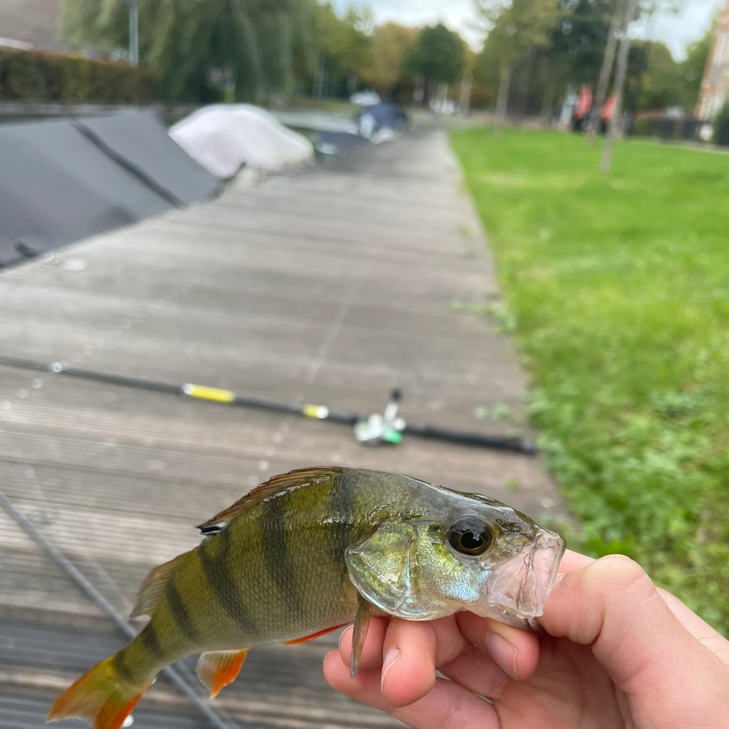 catch