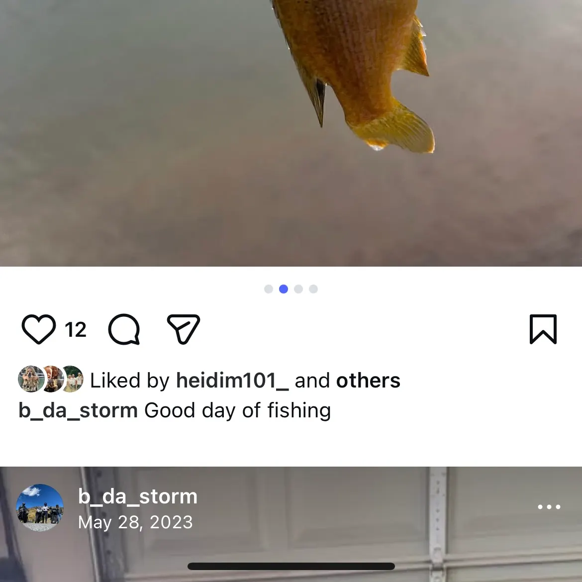 The most recent Green sunfish catches on Fishbrain