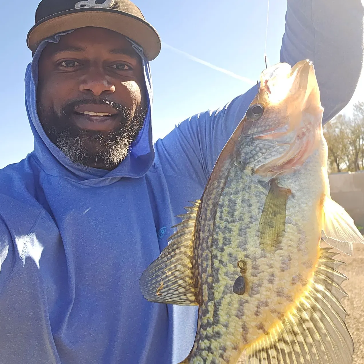 Black crappie caught on Fishbrain