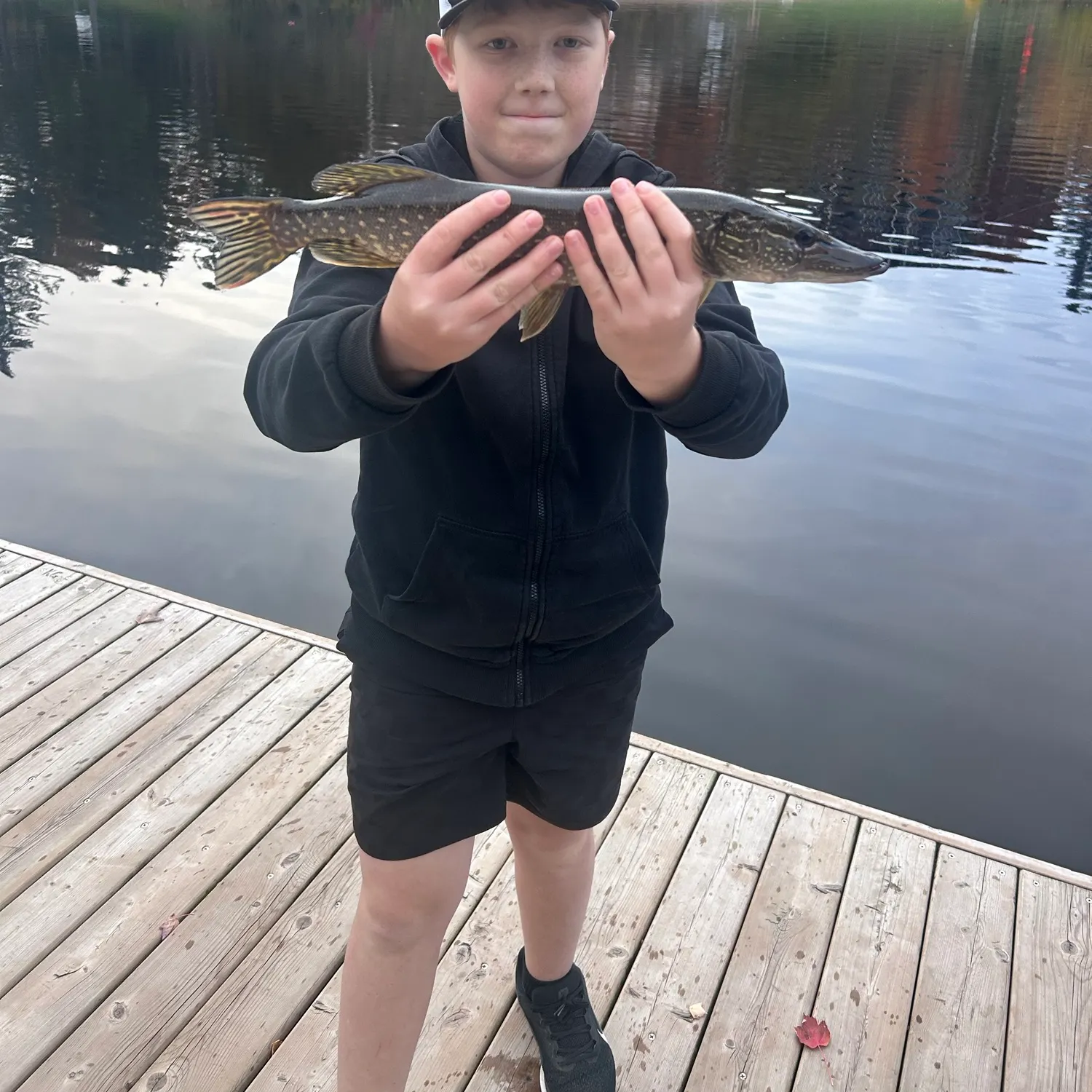 Northern pike caught on Fishbrain