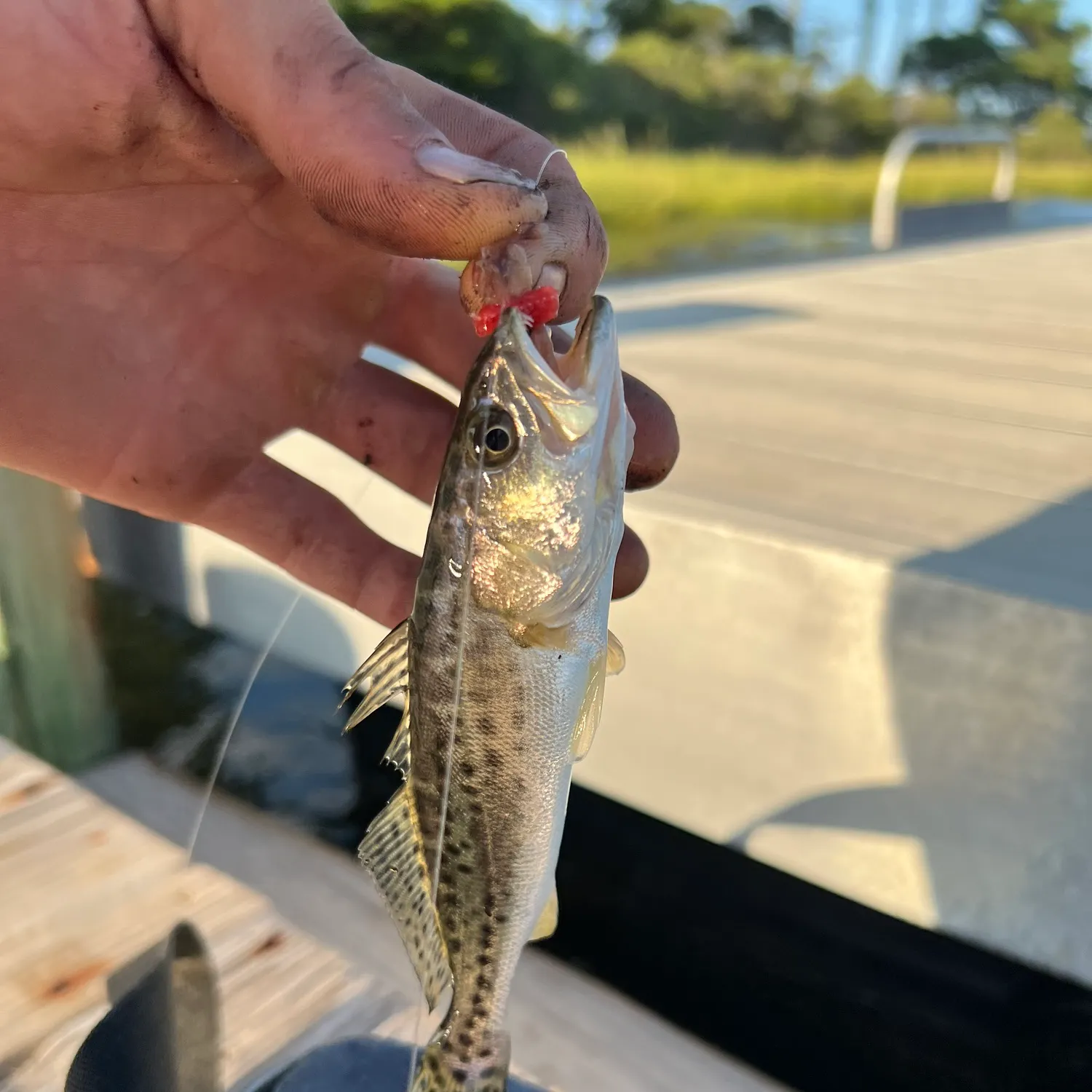 catch
