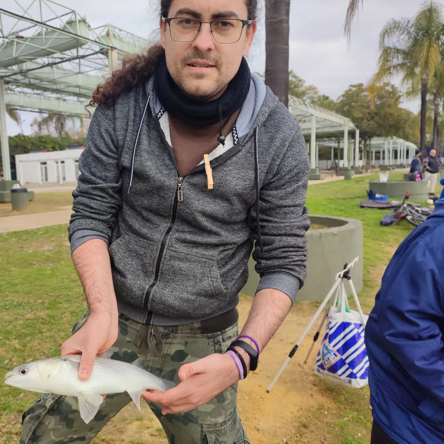 The most recent Thicklip grey mullet catches on Fishbrain