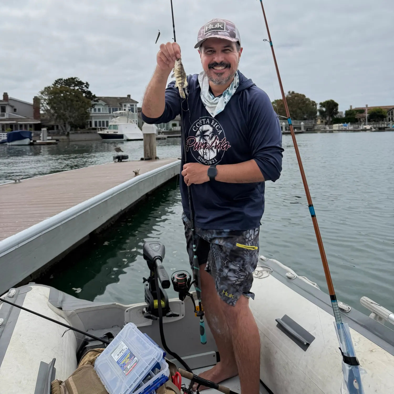 The most recent Barred sand bass catches on Fishbrain