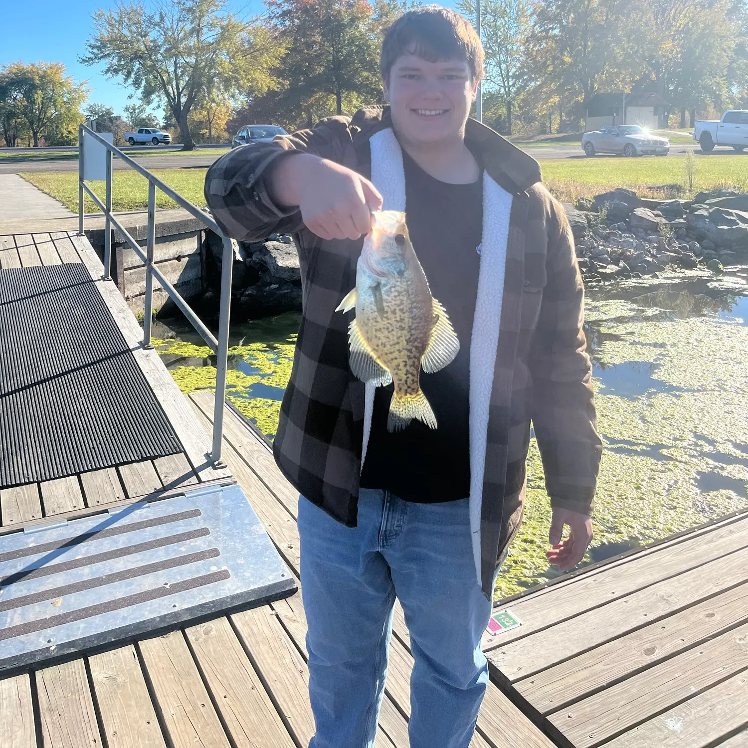 Black crappie caught on Fishbrain
