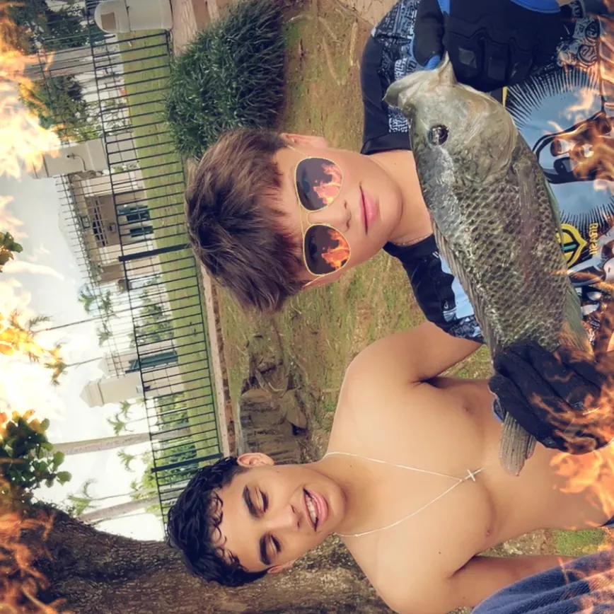 The most recent Wami tilapia catches on Fishbrain