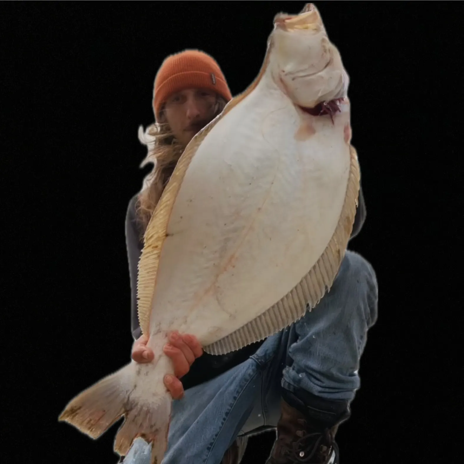 The most recent California halibut catches on Fishbrain