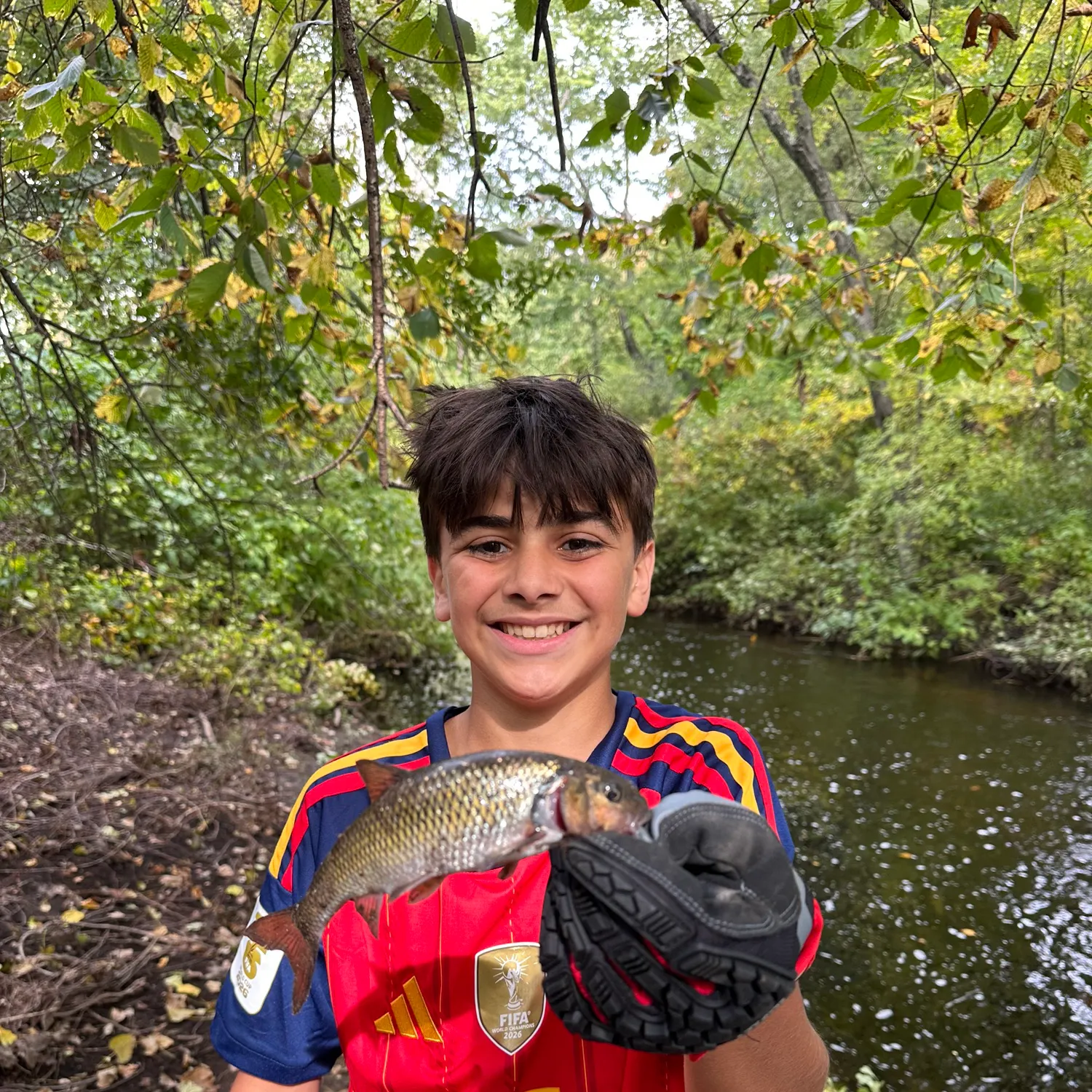 Fallfish caught on Fishbrain
