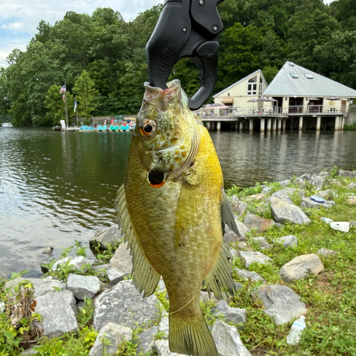 catch