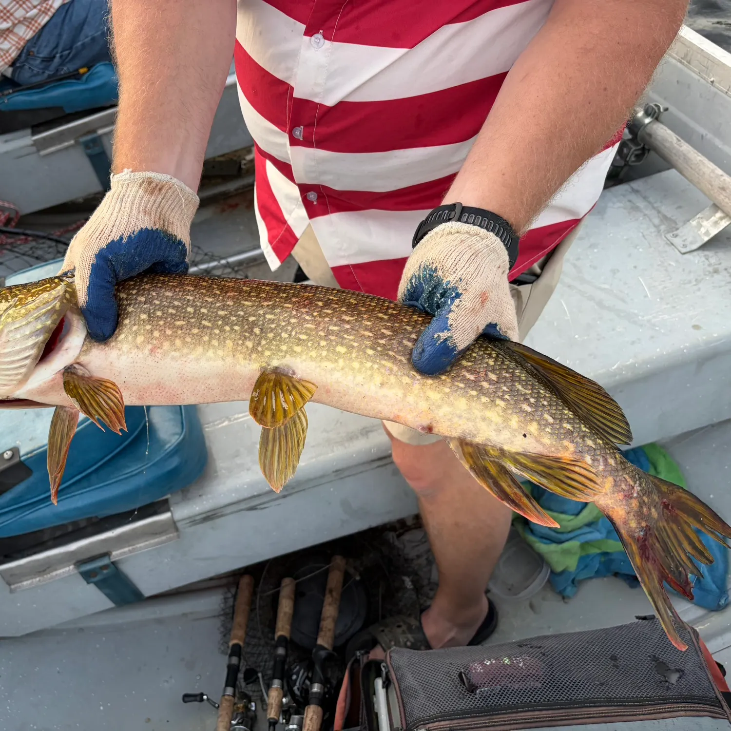 recently logged catches