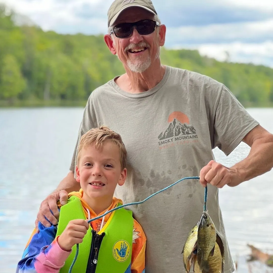 Bluegill caught on Fishbrain