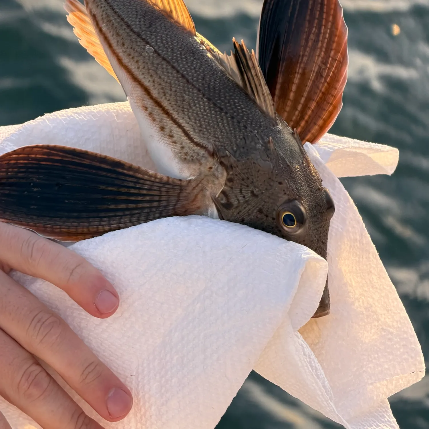 catch