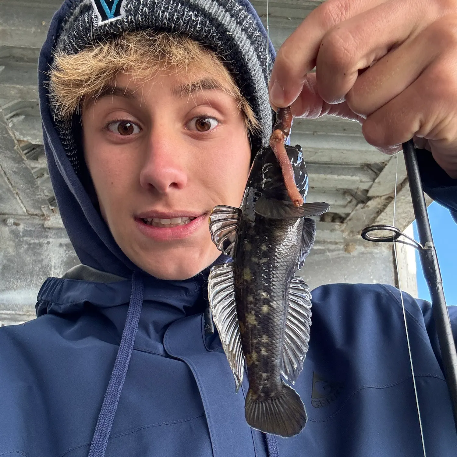 Round goby caught on Fishbrain