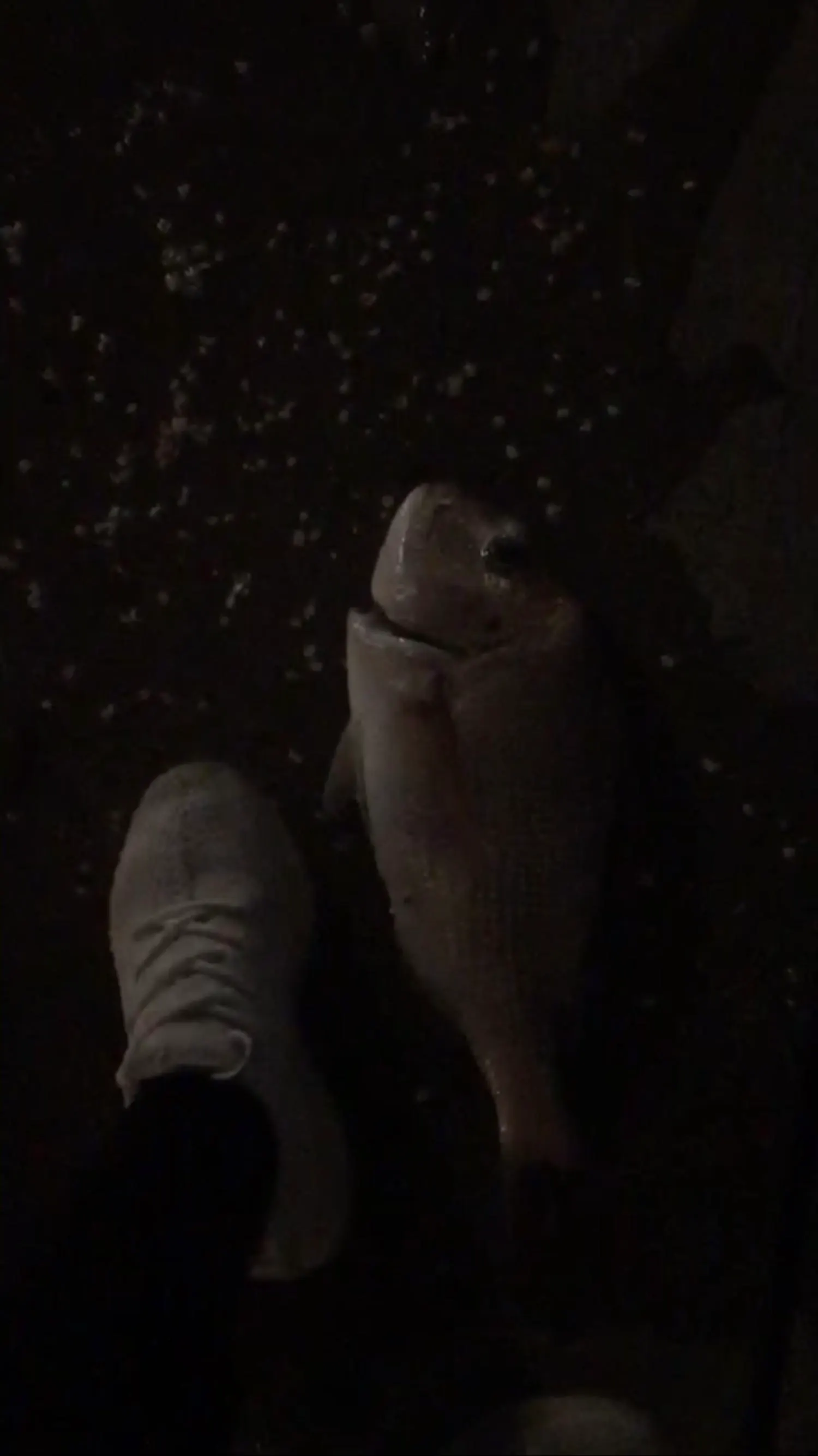 Post image from jzhao6809