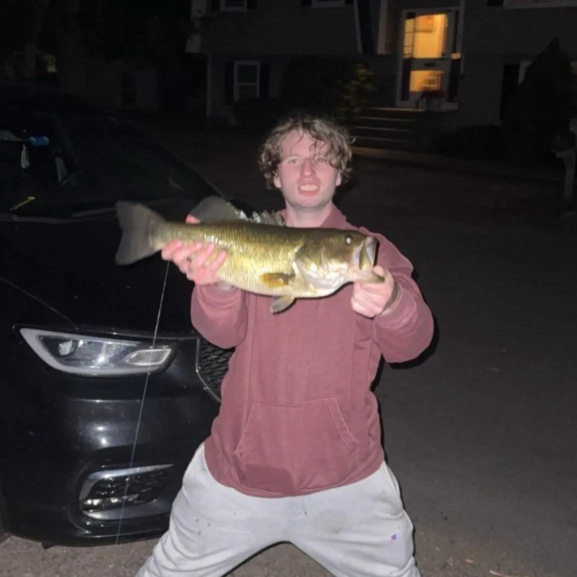 Largemouth bass caught on Fishbrain