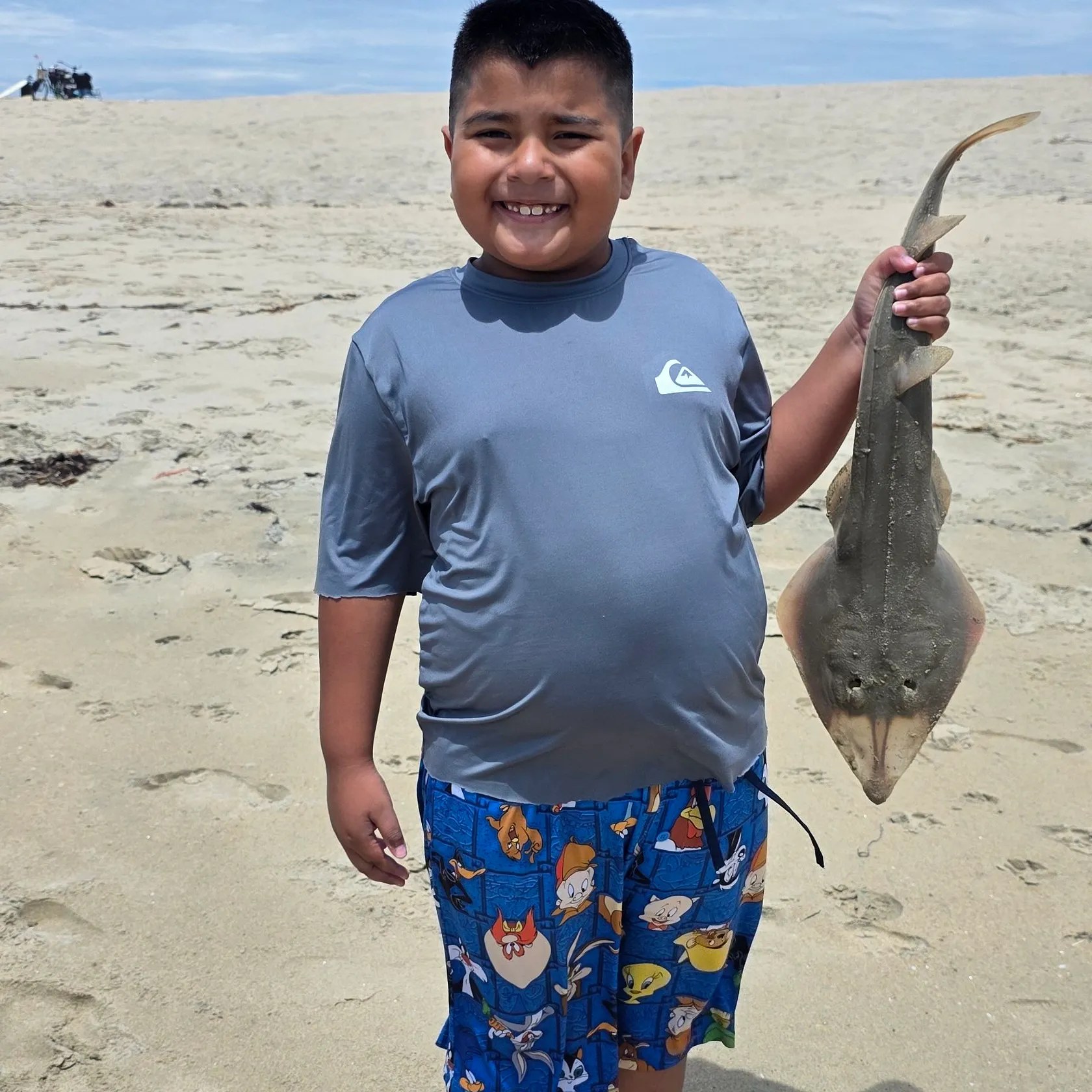 The most recent Pacific shovelnose guitarfish catches on Fishbrain