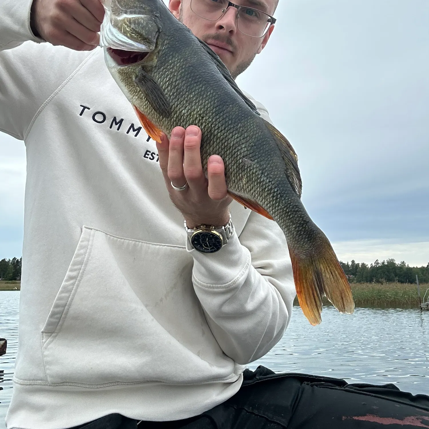 European perch caught on Fishbrain