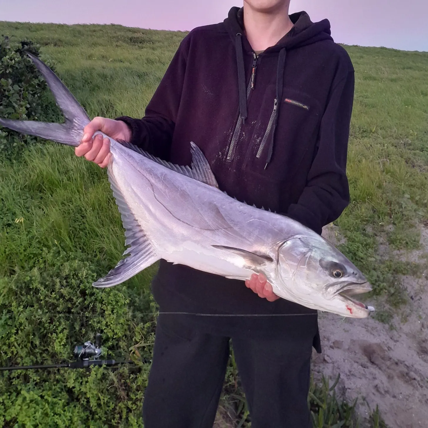 The most recent Leerfish catches on Fishbrain