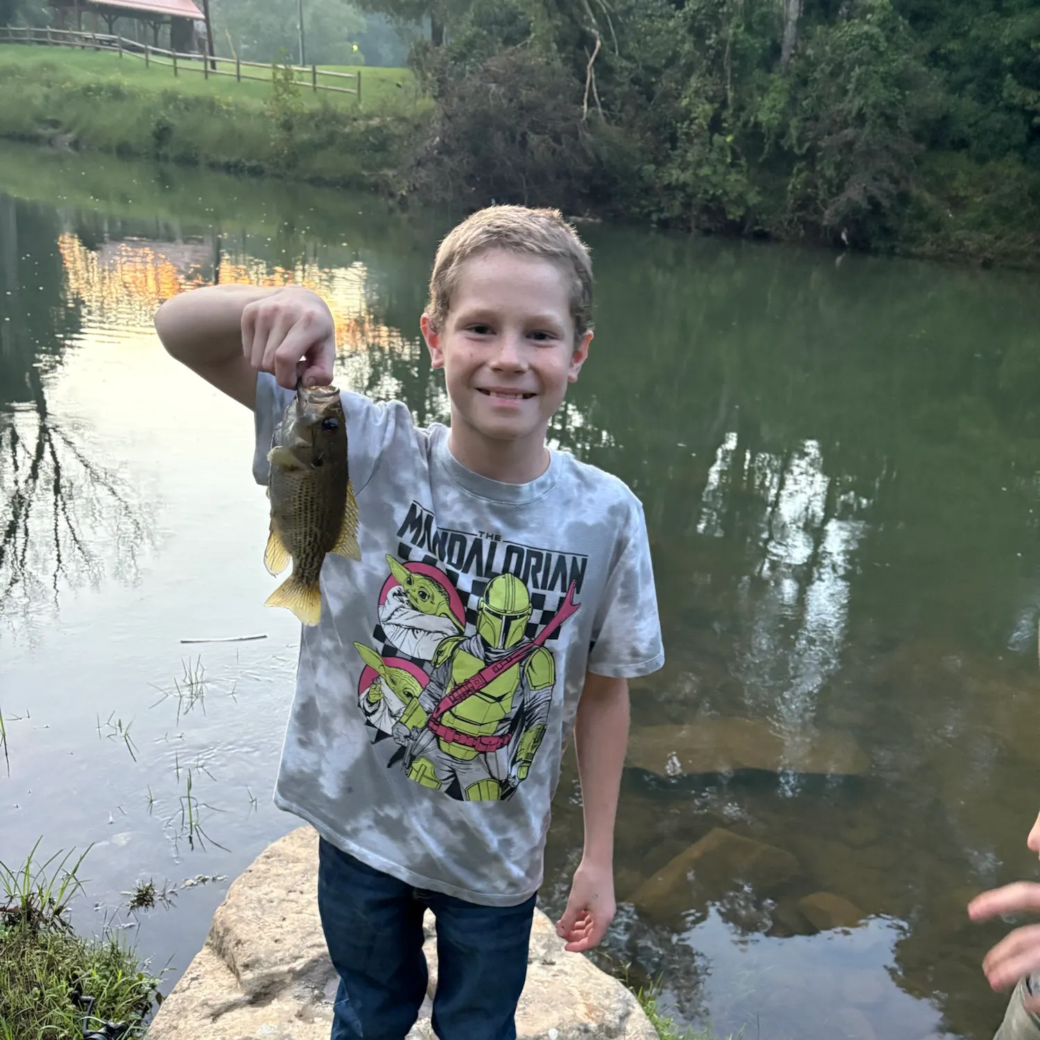 Rock bass caught on Fishbrain