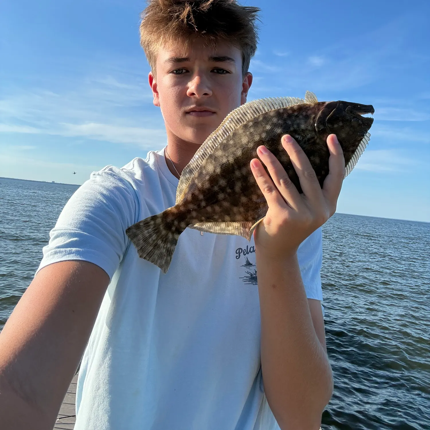 Summer flounder caught on Fishbrain