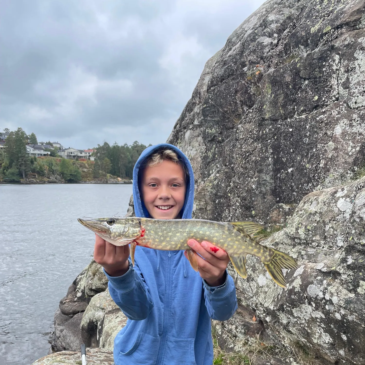 Northern pike caught on Fishbrain