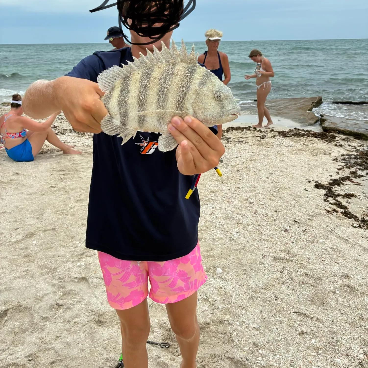 The most recent Sheepshead catches on Fishbrain
