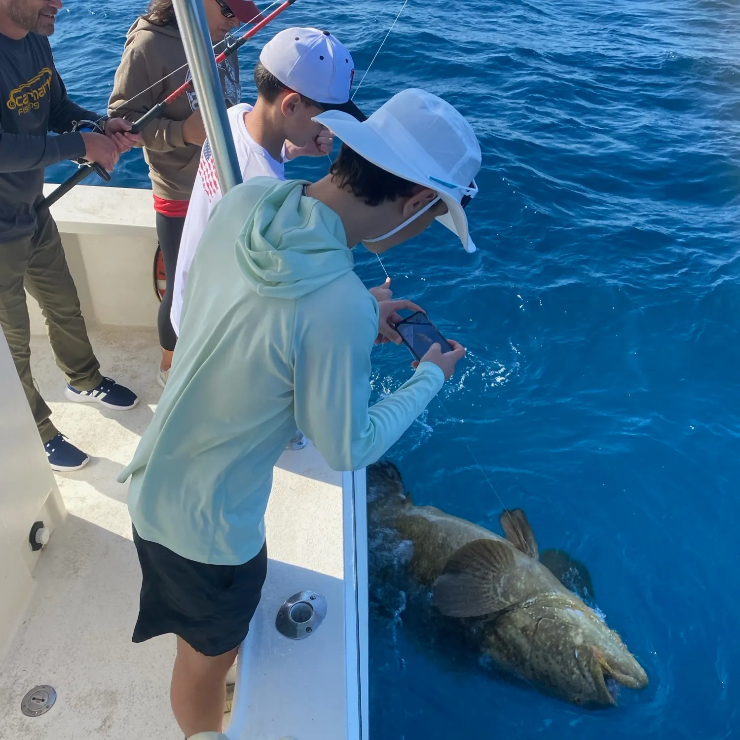 The most recent Atlantic goliath grouper catches on Fishbrain