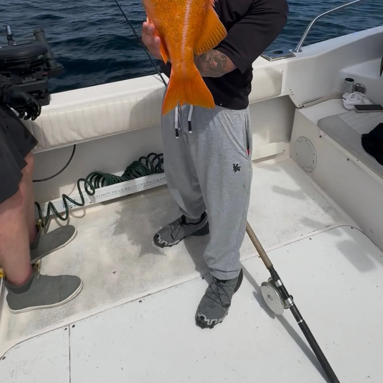 The most recent Canary rockfish catches on Fishbrain
