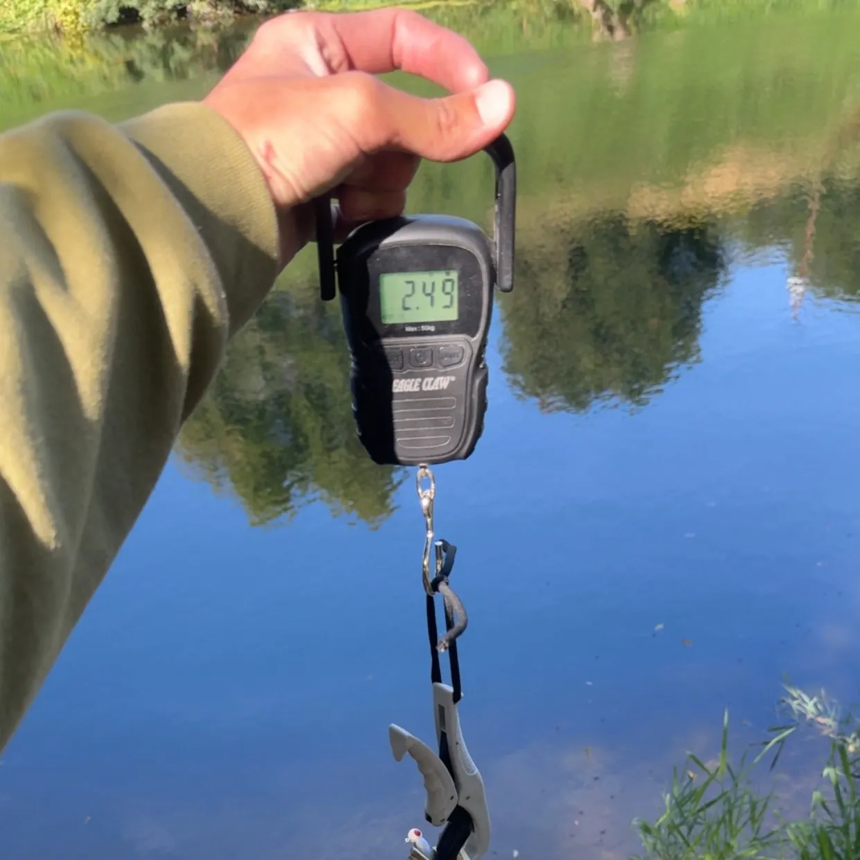 The most recent Northern pikeminnow catches on Fishbrain