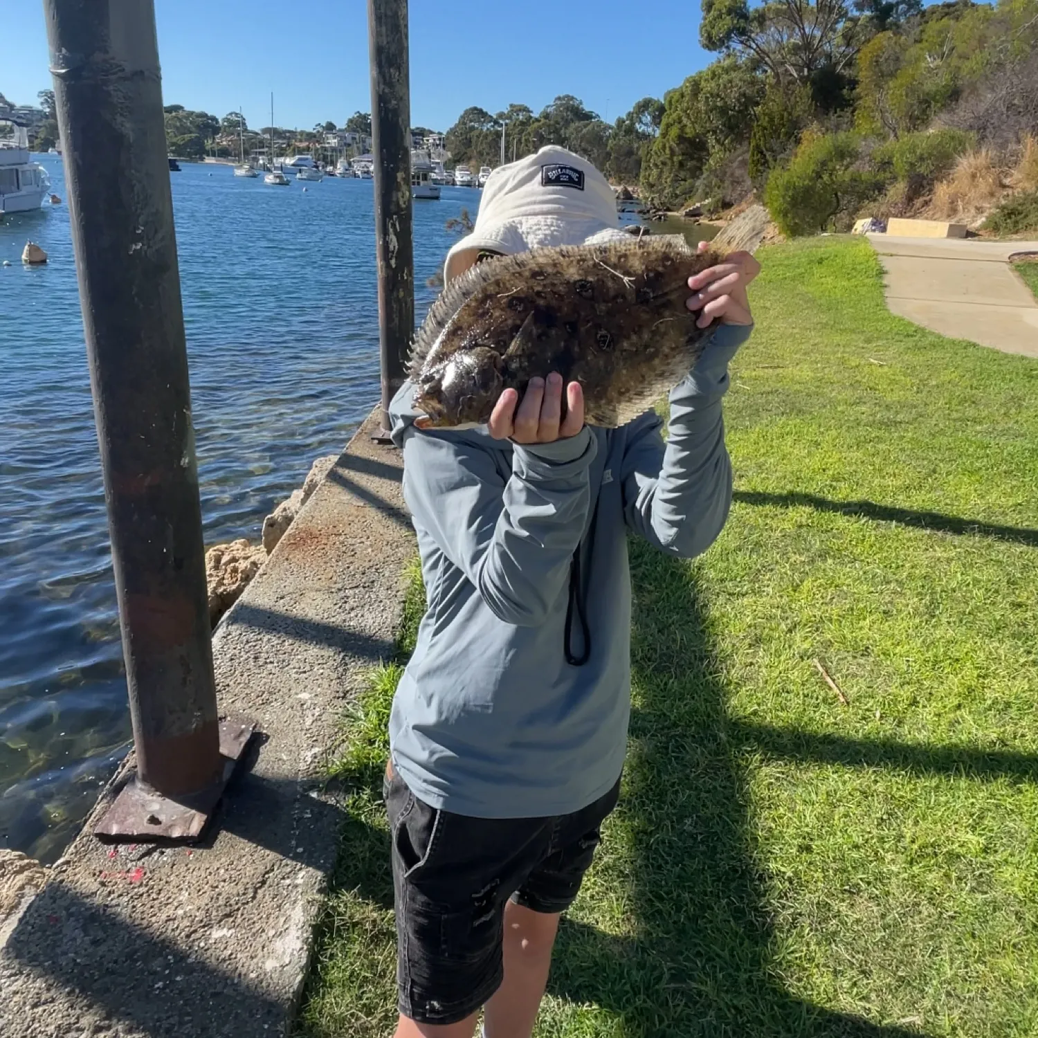 The most recent Smalltooth flounder catches on Fishbrain