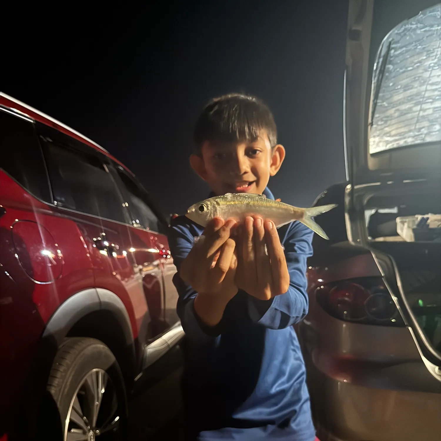 Atlantic herring caught on Fishbrain