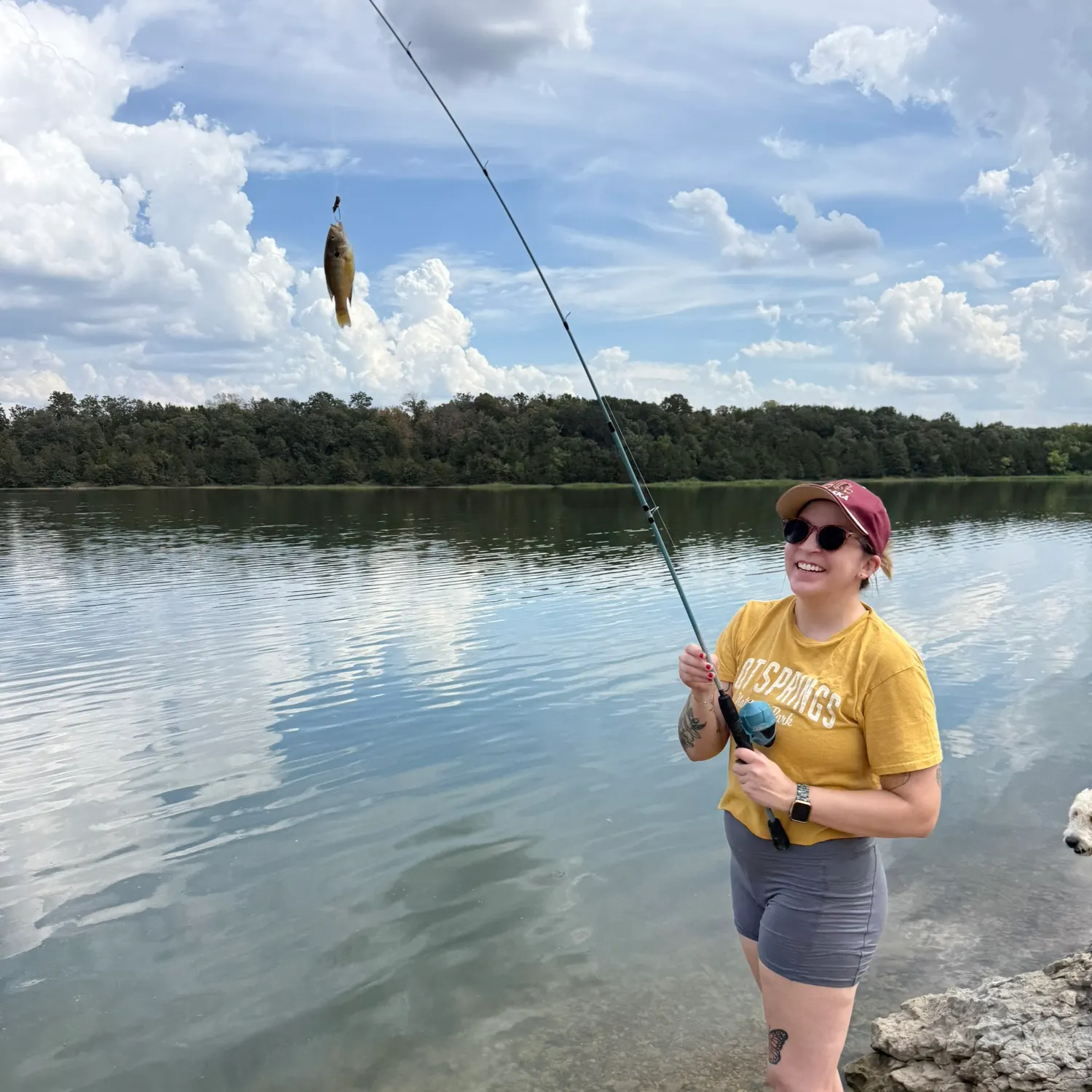 Spotted sunfish caught on Fishbrain