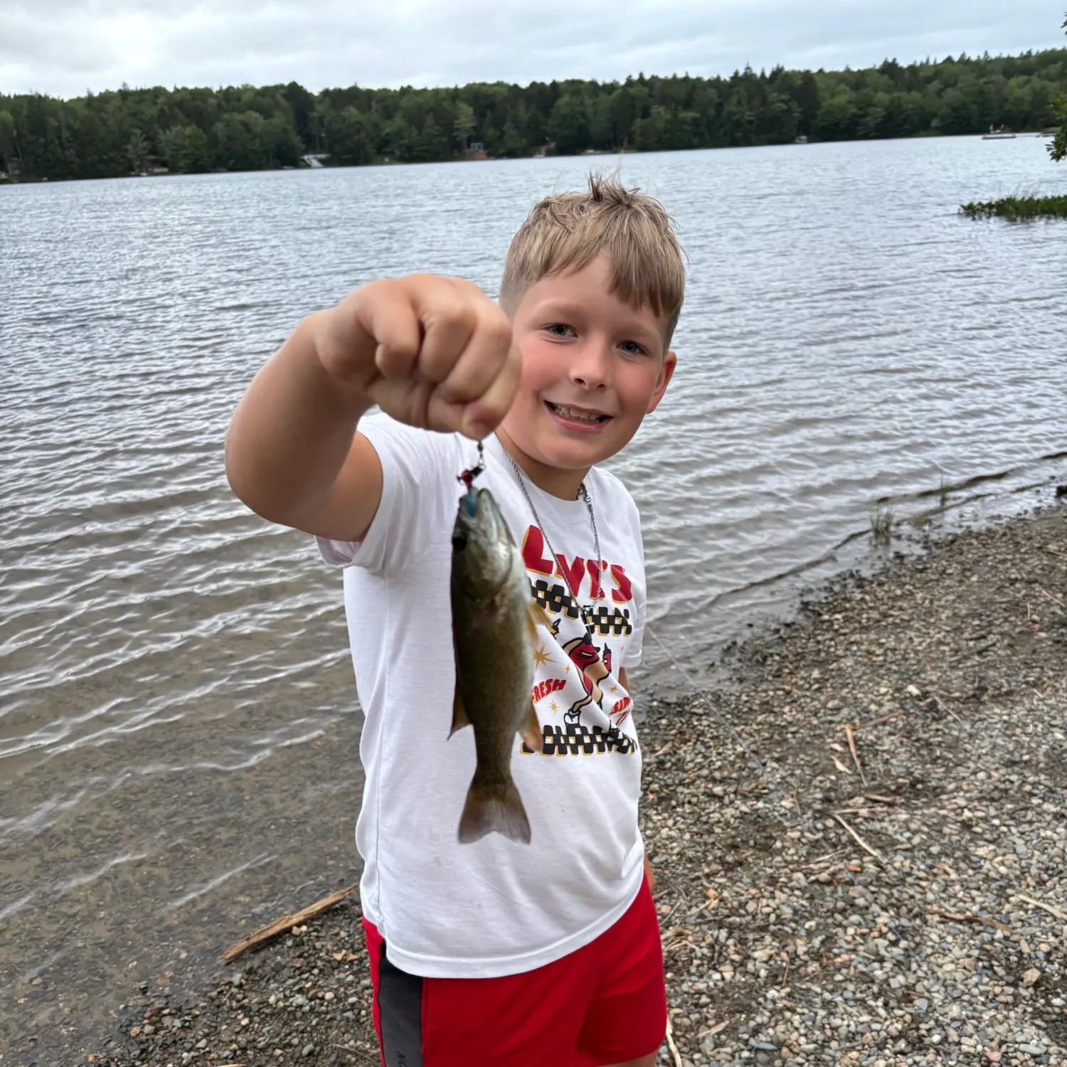 Smallmouth bass caught on Fishbrain