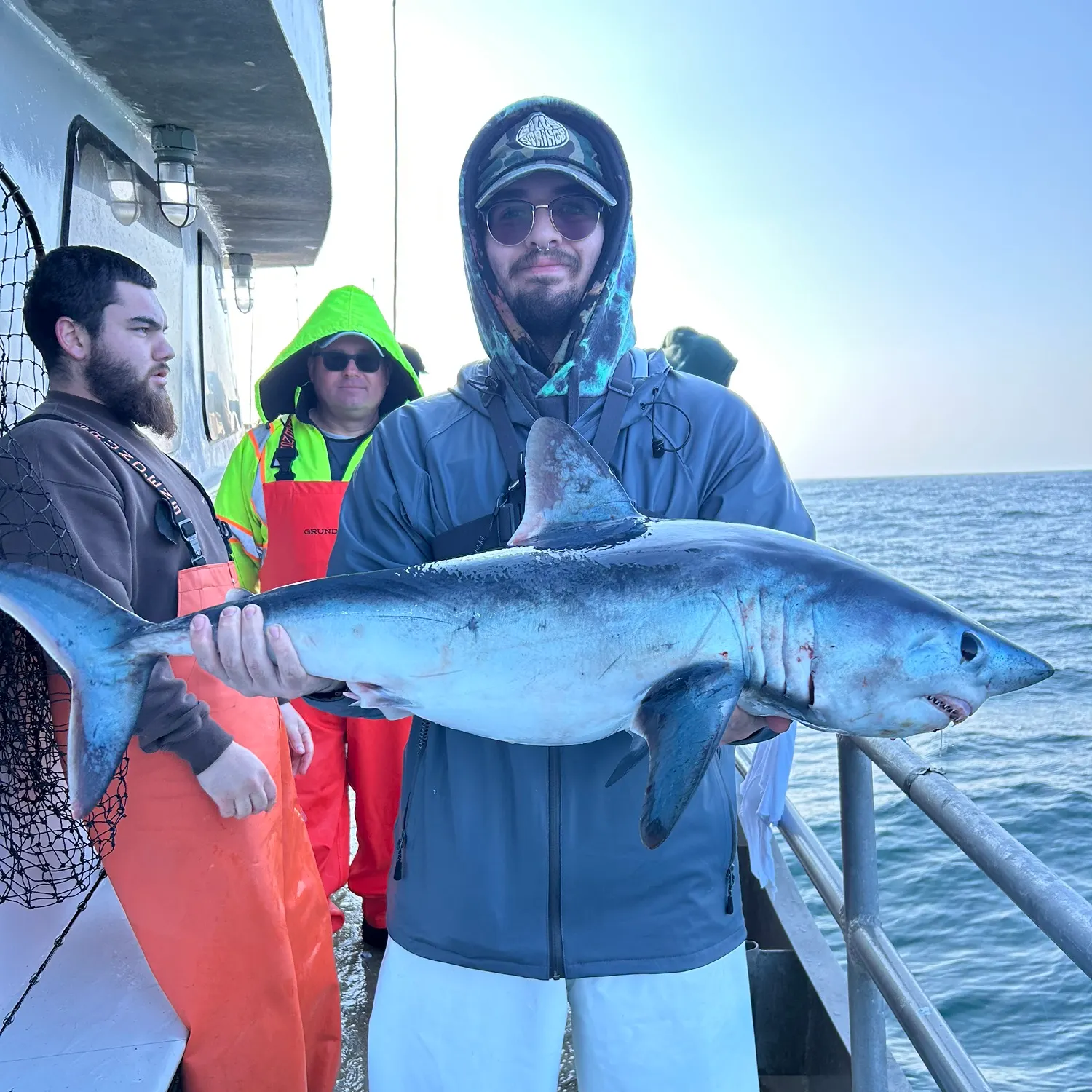The most recent Porbeagle catches on Fishbrain