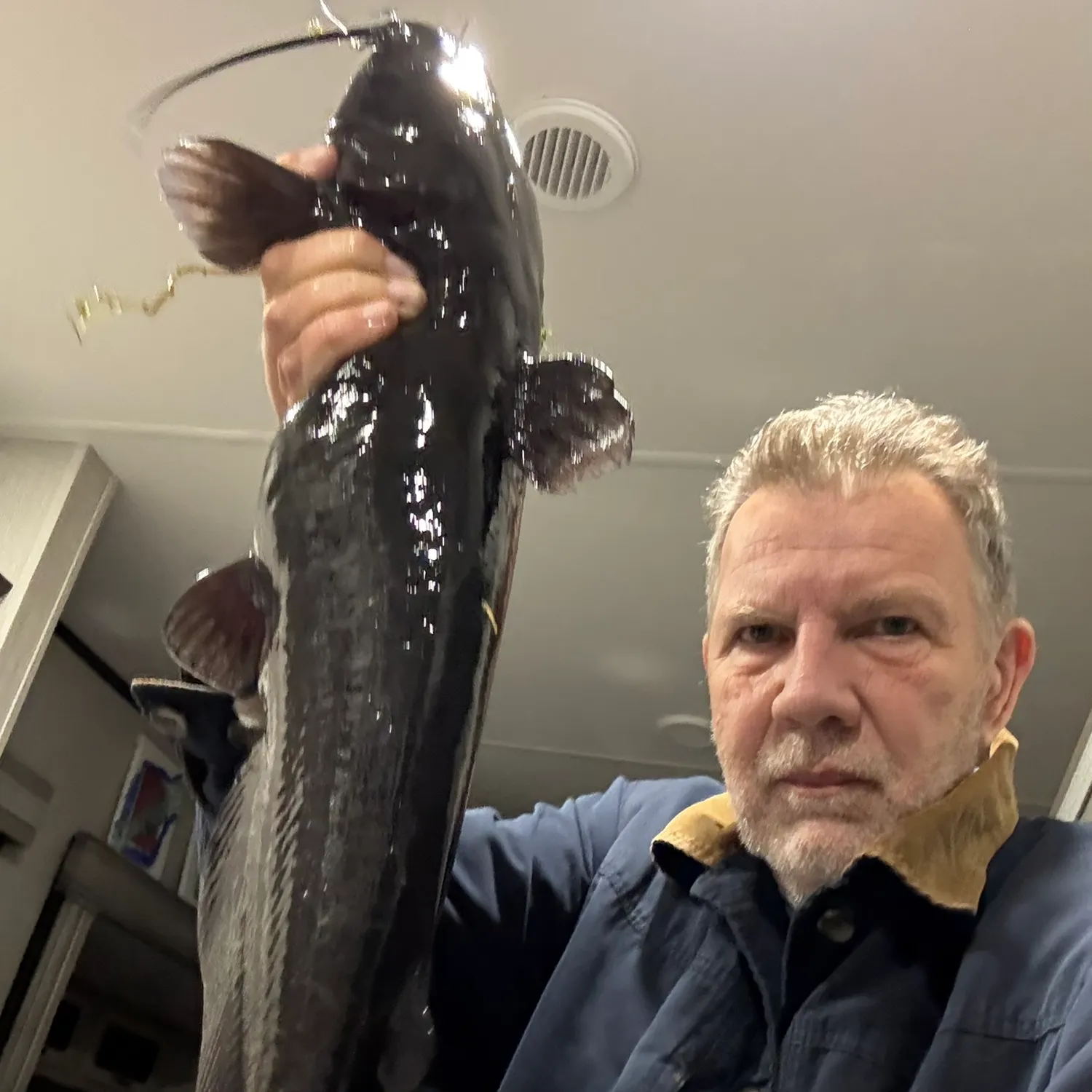 Fish caught on Fishbrain