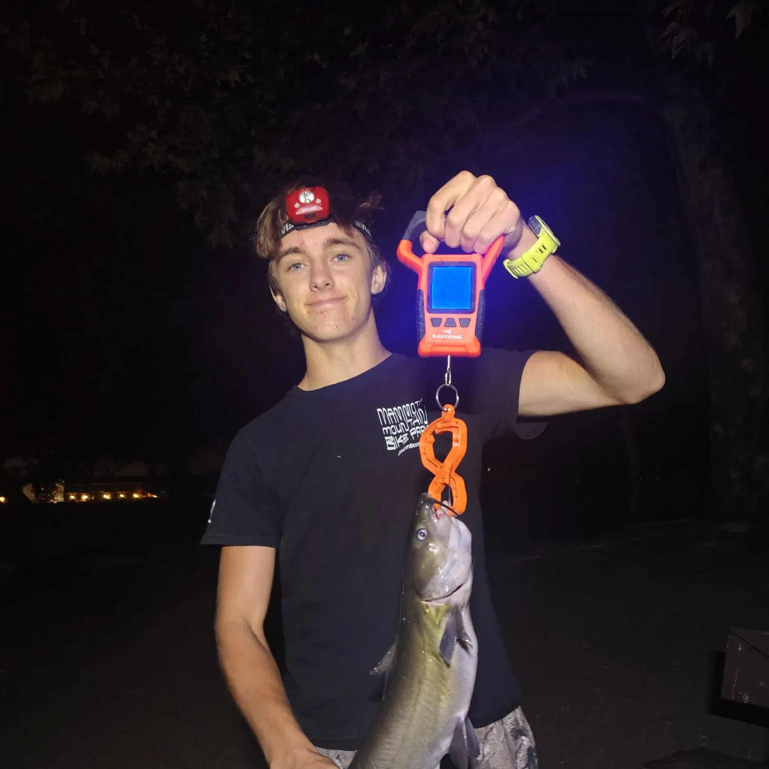 Channel catfish caught on Fishbrain