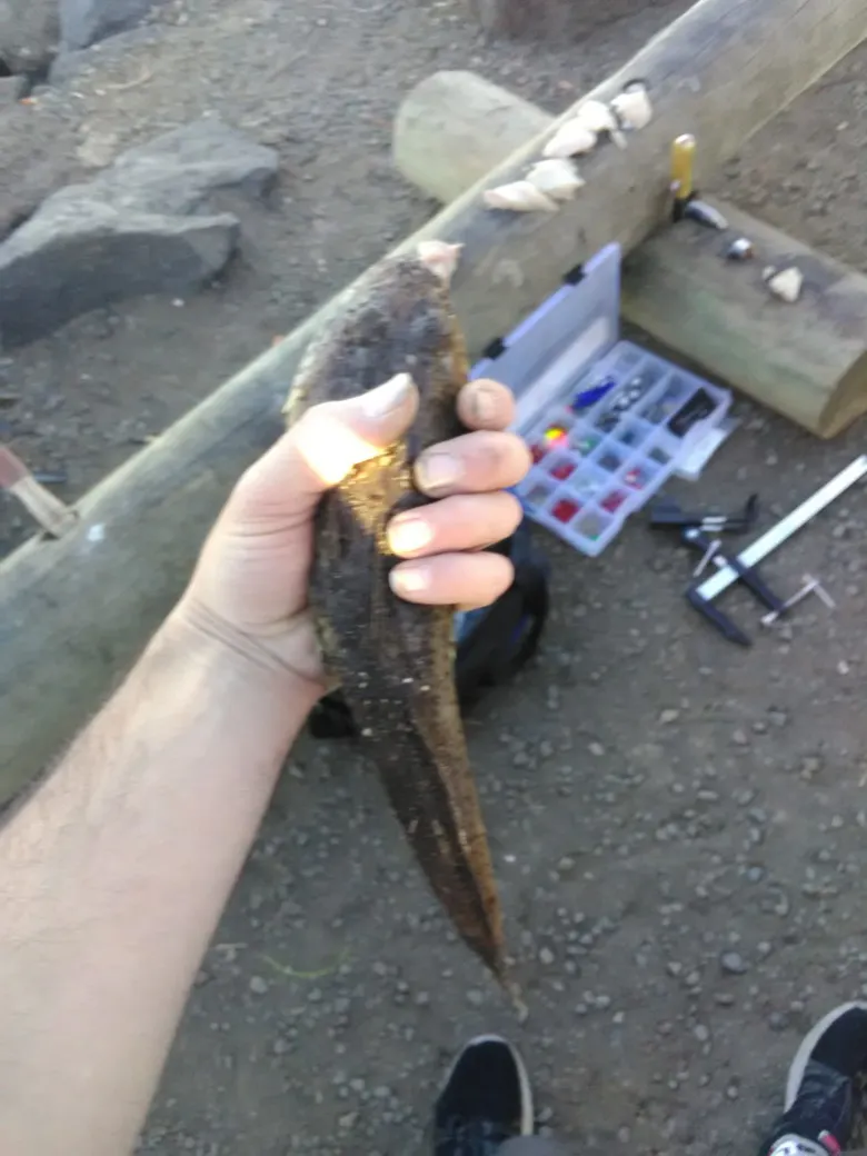 Post image from aarontough