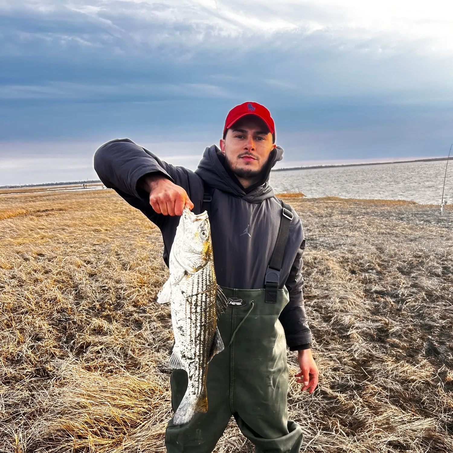 The most recent Striped bass catches on Fishbrain