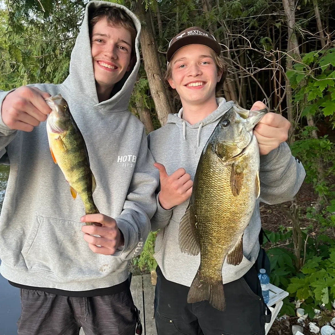 Smallmouth bass caught on Fishbrain