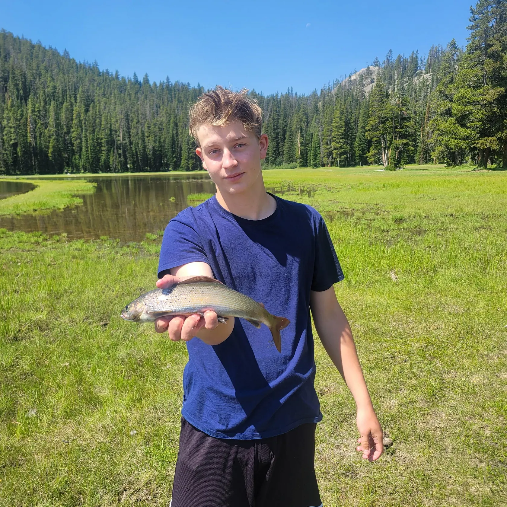 The most recent Arctic grayling catches on Fishbrain