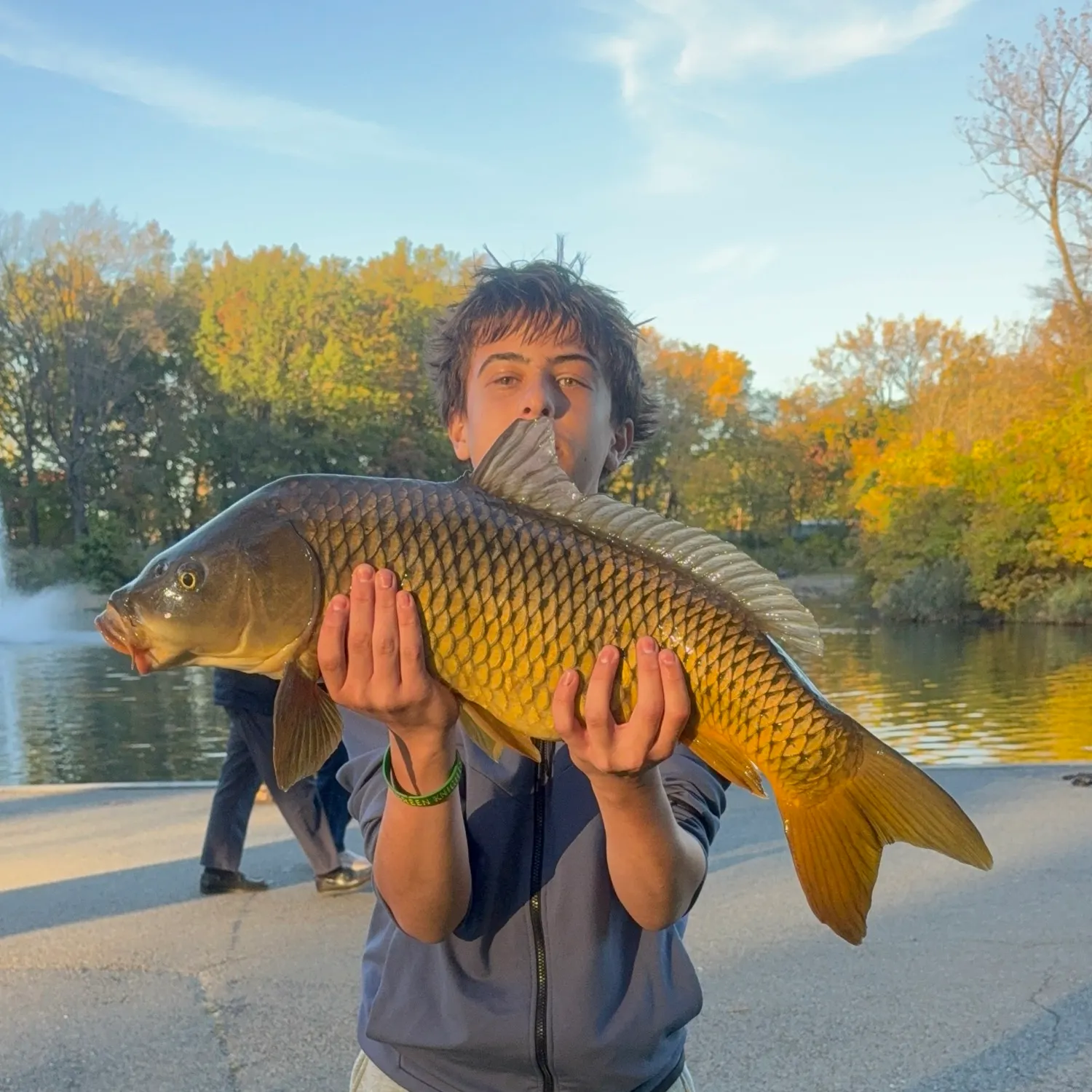 Common carp caught on Fishbrain