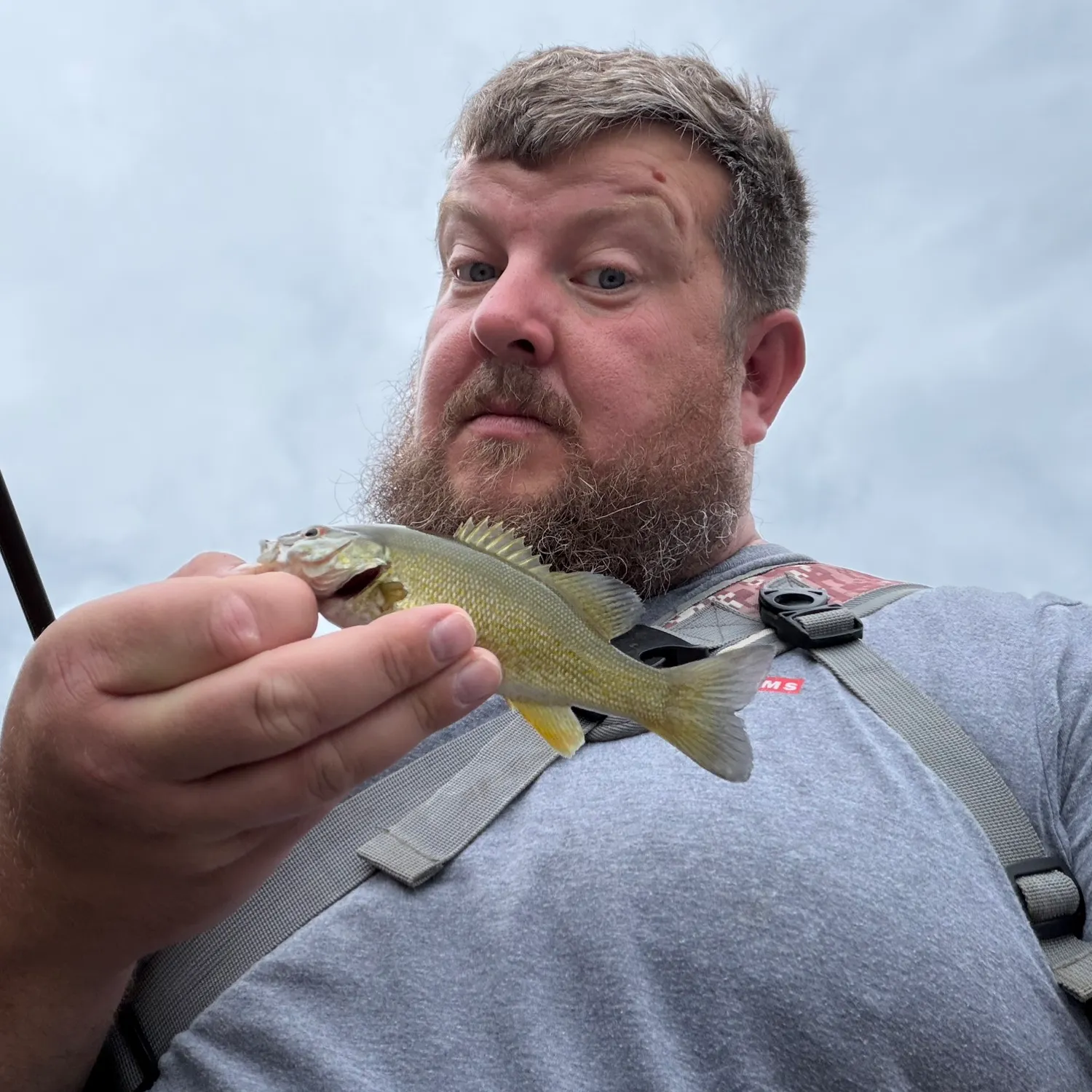 Smallmouth bass caught on Fishbrain