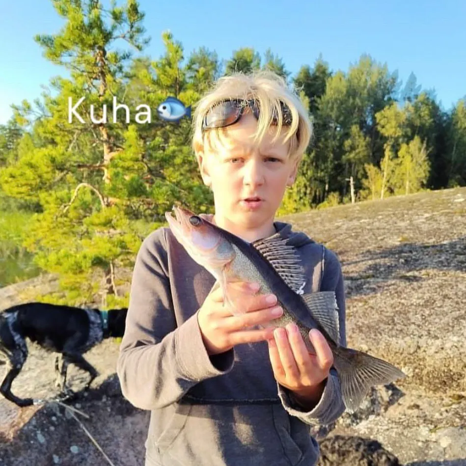 Zander caught on Fishbrain