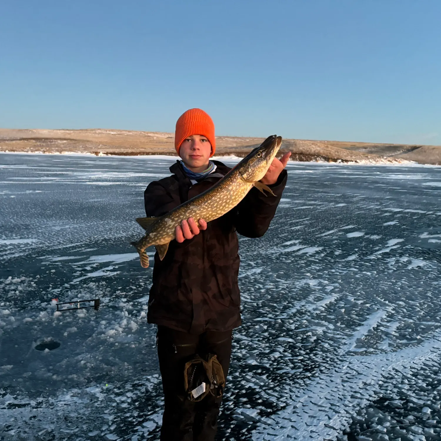 The most recent Northern pike catches on Fishbrain