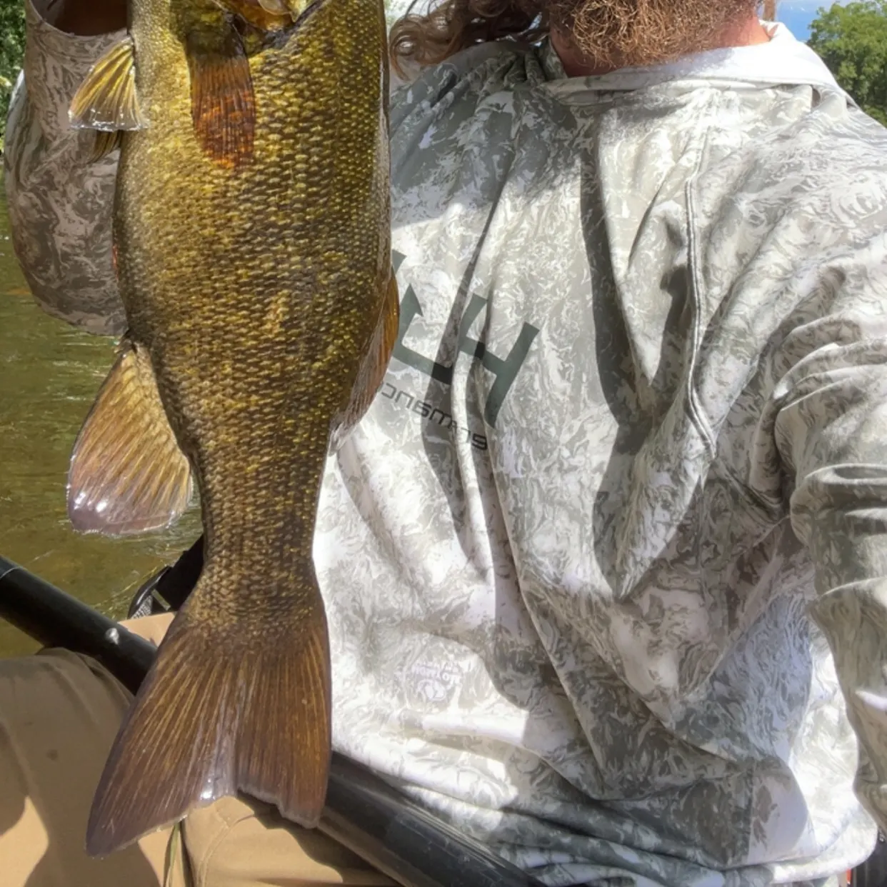 Smallmouth bass caught on Fishbrain