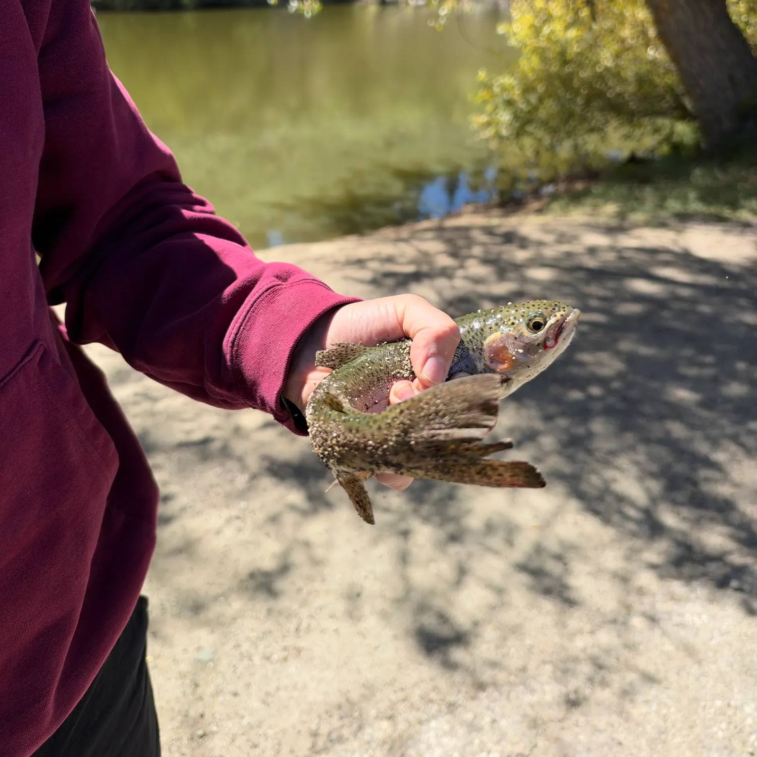 catch