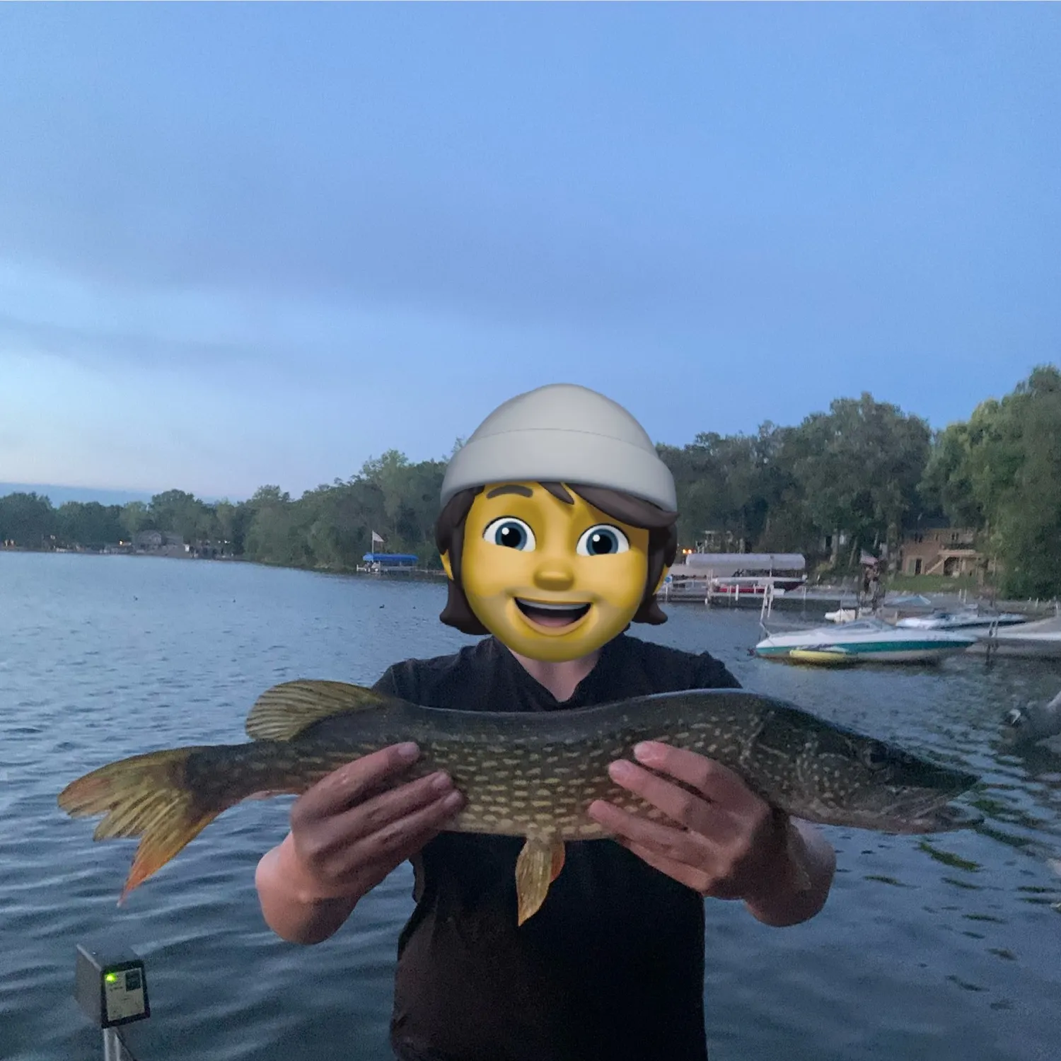 Northern pike caught on Fishbrain