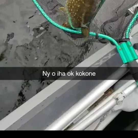 Northern pike caught on Fishbrain