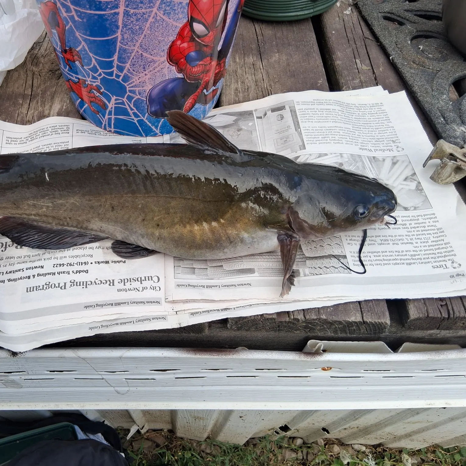recently logged catches